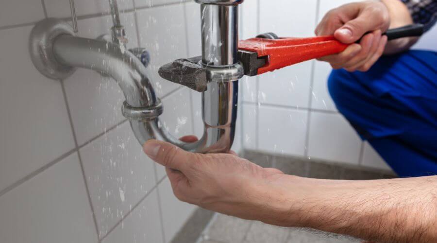 Professional Leak Detection services in Dewitt, MI